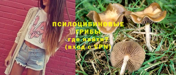 дживик Абаза