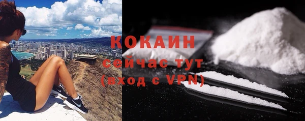 ALPHA PVP Покачи