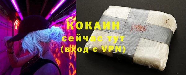 дживик Абаза