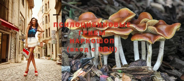 дживик Абаза