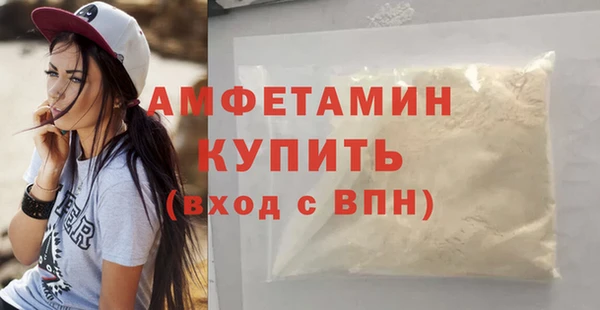 дживик Абаза
