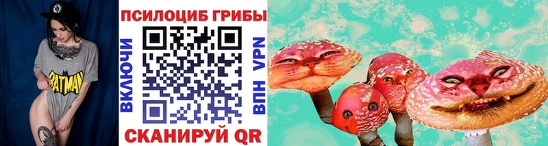 Псилоцибиновые грибы мицелий  hydra маркетплейс  Вилюйск 